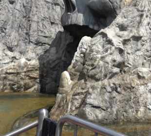 Land der Piraten - Käpt´n Nicks Piratenschlacht