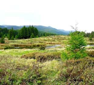 Inselrundfahrt Terceira