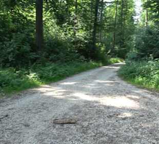 Waldlehrpfad St. Johann