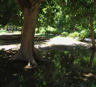 Rundgang über Geziret El-Nabatat