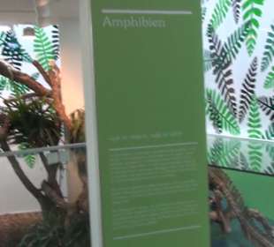 Niedersächsisches Landesmuseum