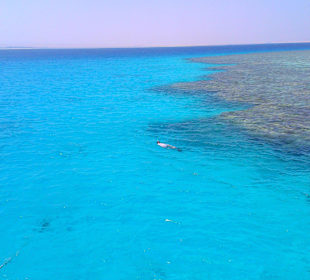 Экскурсия на остров Утопия