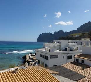 Bei einer Ausfahrt und kurzem Anhalten fotografiert.