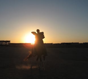 Reiten  in den Sonnenuntergang