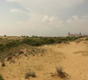 Gündogdu auf den Dünen oben