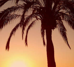 Sonnenuntergang an der Playa de Palma