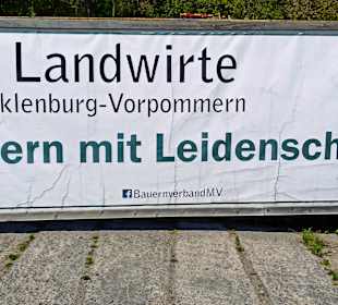 Stadtrundgang Wiek auf Rügen