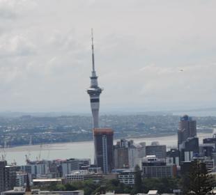 Blick vom Vulkan über Auckland
