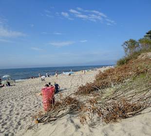 Plaża Wicie