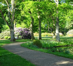 Hauptblüte im Rhododendronpark Bremen