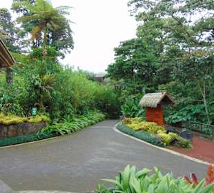 La Paz Waterfall Gardens
