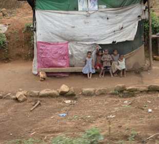 Ob die Mama gleich kommt?