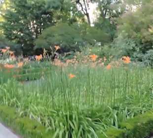 Real Jardín Botánico de Madrid