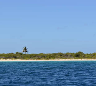 Isla Catalina