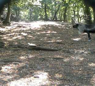 Zoo Brno