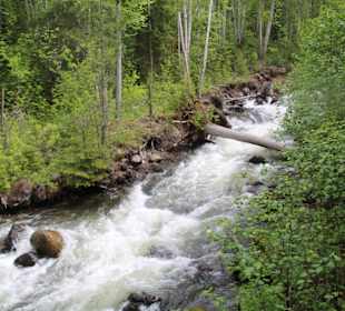 ...der Fluss zum Wasserfall führt viel Wasser..