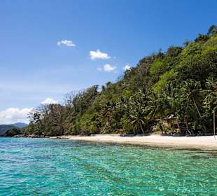 Coconut Island