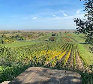 Wandern Mörbisch am See
