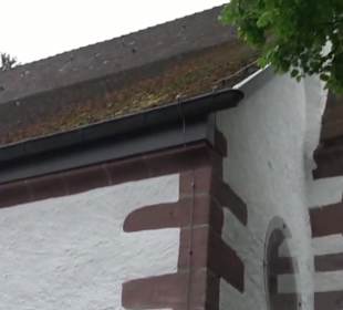 Evangelische Martinskirche Dornstetten