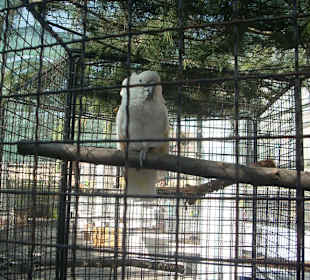 Orto botanico di Praga