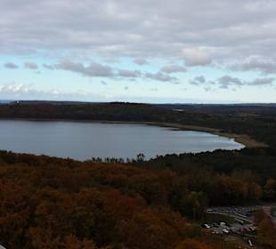 Oberer Plattform - Ausblick vom Baumwipfelpfad