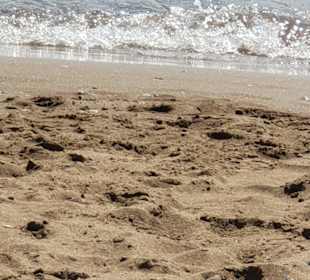 Strand von Faliraki direkt vor dem Chaplins.