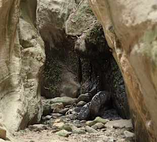 Avakás-Schlucht / Avgasschlucht