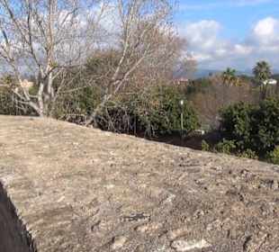 Camí de Ronda