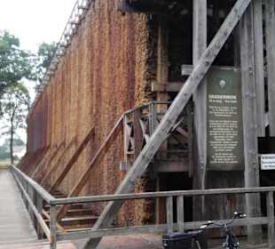 Kurpark Bad Oeynhausen und die Umgebung