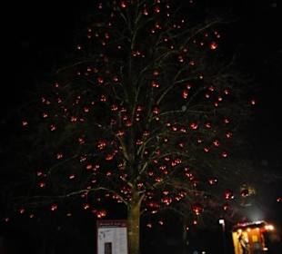 Hellbrunner Adventzauber