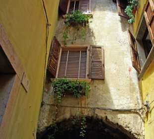 Trotzdem alles geschmückt