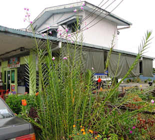 Wildlife Expeditions