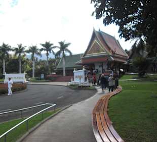 Auf dem Weg in den Loro Parque in Puerto de La Cruz