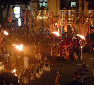 Elefanten und Tänzer