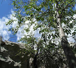 Klettergebiet Mazet-Plage