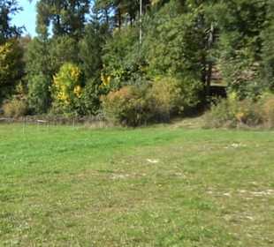 Sportplatz Lonsingen