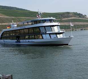 Wandern Flörsheim-Dalsheim