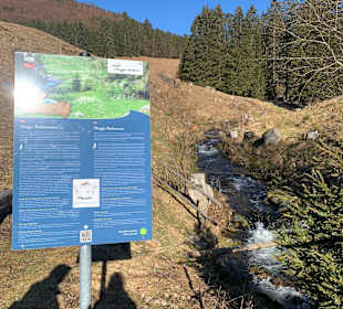 Wandern Muggenbrunn