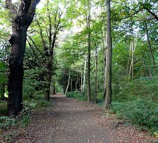 Spaziergang durch Wätjens Park