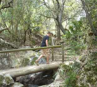 Schlucht