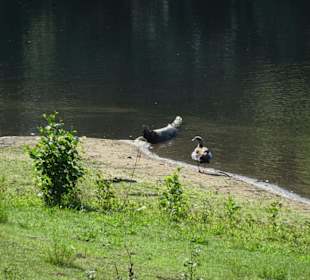 Naturstrand am Mahndorfer See
