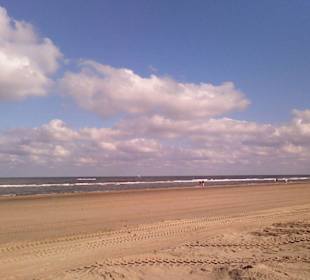 Strand in Noordwijk