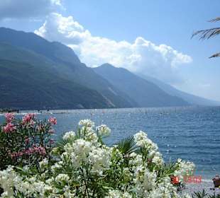 Gardasee mit Blick auf die Alpen