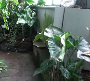 Tropicarium
