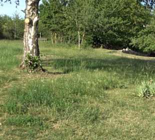 Kreuzweg Wurmlinger Kapelle