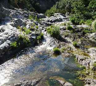 Impressionen von einer Wanderung an der Massane