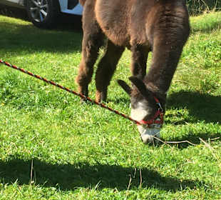 Wandern Ellmau am Wilden Kaiser