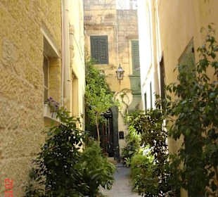 Inselrundfahrt Gozo