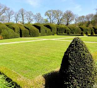 Klostergarten mit 200-jähriger Taxushecke