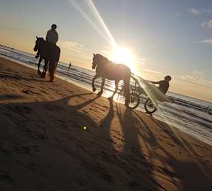 Strand Renesse